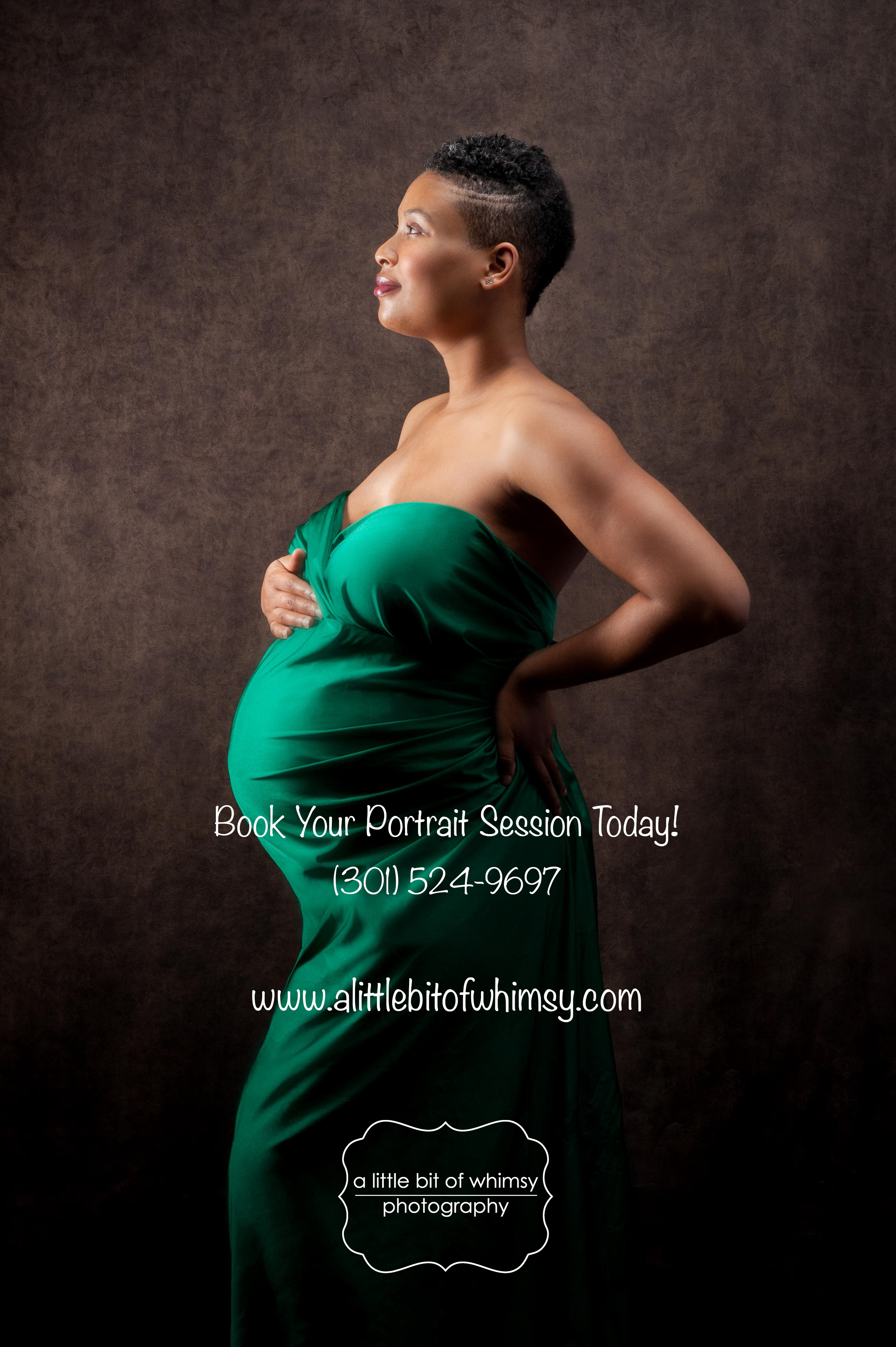 maternity backcover ‹ Maryland + DC Portrait Photographer